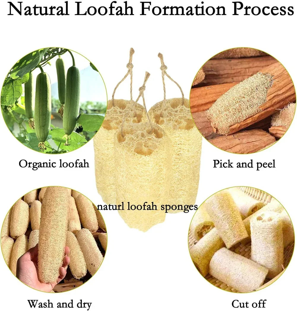 LOOFAH Brushes Bath Body Sponge Scrubber