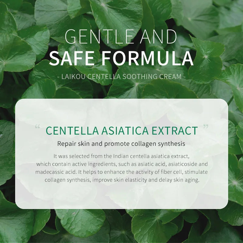 LAIKOU Centella Asiatica Facial Cream